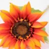 60cm Single Sunflower GS-1450127-O1