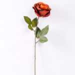 10*66cm Single rose GS-1450141-O2