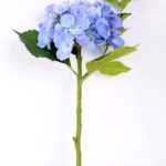 H:20*39cm Single Hydrangea(M) GS-1450149