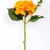 H:20*39cm Single Hydrangea(M) GS-1450149