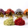 30*45CM HYDRANGEA BUSH*5 GS-1450171