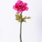 H:36*8 Poppy Flower GS-1450179