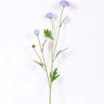 10*59CM Chrysanthemum*4 GS-1450187-B1