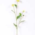 10*59CM Chrysanthemum*4 GS-1450187-G1