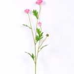 10*59CM Chrysanthemum*4 GS-1450187-P1