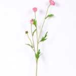 10*59CM Chrysanthemum*4 GS-1450187-P2