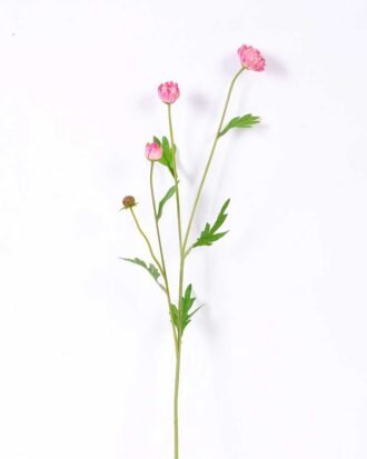 10*59CM Chrysanthemum*4 GS-1450187-P2