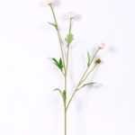 10*59CM Chrysanthemum*4 GS-1450187-W1