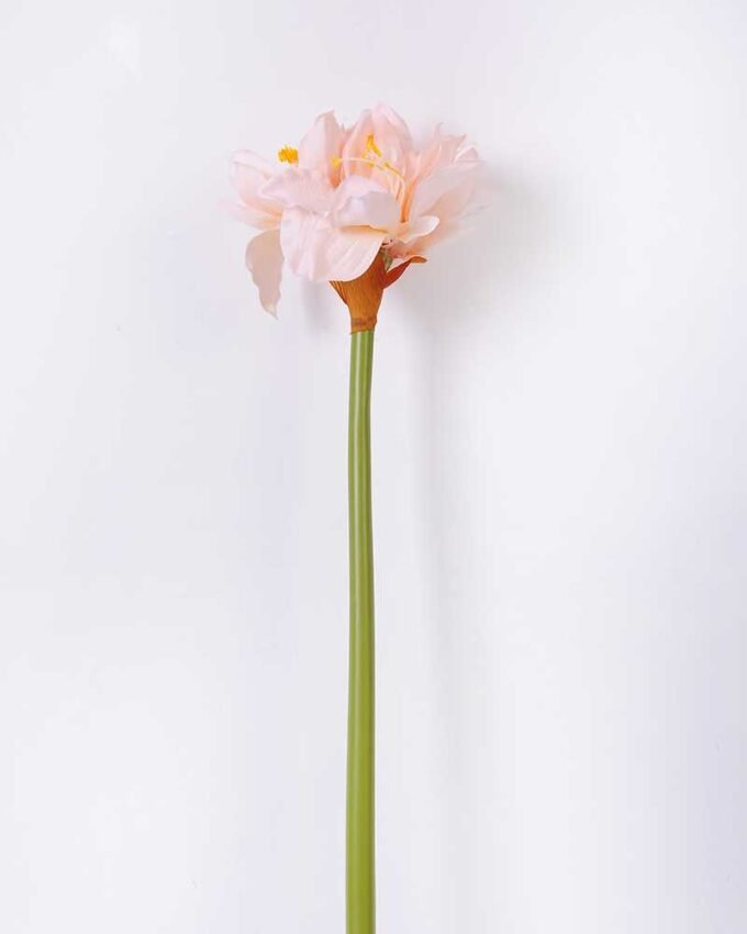 24*73CM single kaffir lily GS-1450189