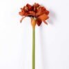 24*73CM single kaffir lily GS-1450189