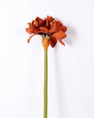 24*73CM single kaffir lily GS-1450189