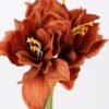 24*73CM single kaffir lily GS-1450189