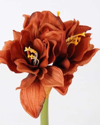 24*73CM single kaffir lily GS-1450189