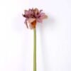 24*73CM single kaffir lily GS-1450189