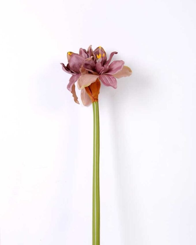 24*73CM single kaffir lily GS-1450189