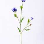 8*60CM Mini mum GS-1450193