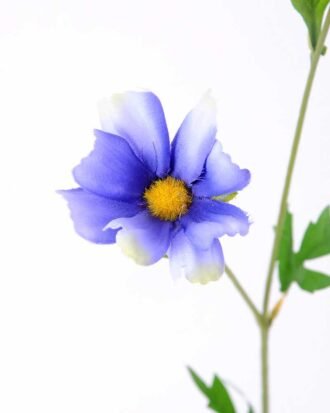 8*60CM Mini mum GS-1450193