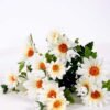 W30 H40cm Daisy bush*9 GS-1680179 6 W30 H40cm Daisy bush*9 GS-1680179