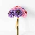 MINI MUM *6 GS-1680205