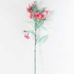 30*30*82CM Ruellia? GS-1680210A