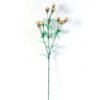 18*18*68CM?Dianthus chinensis GS-1680211A