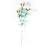 18*18*68CM?Dianthus chinensis GS-1680211A