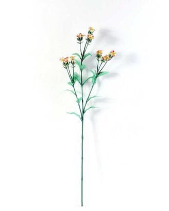 18*18*68CM?Dianthus chinensis GS-1680211A