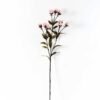 18*18*68CM?Dianthus chinensis GS-1680211B