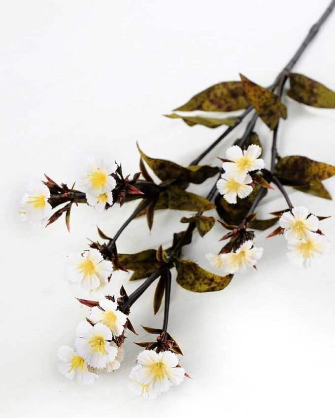 18*18*68CM?Dianthus chinensis GS-1680211B