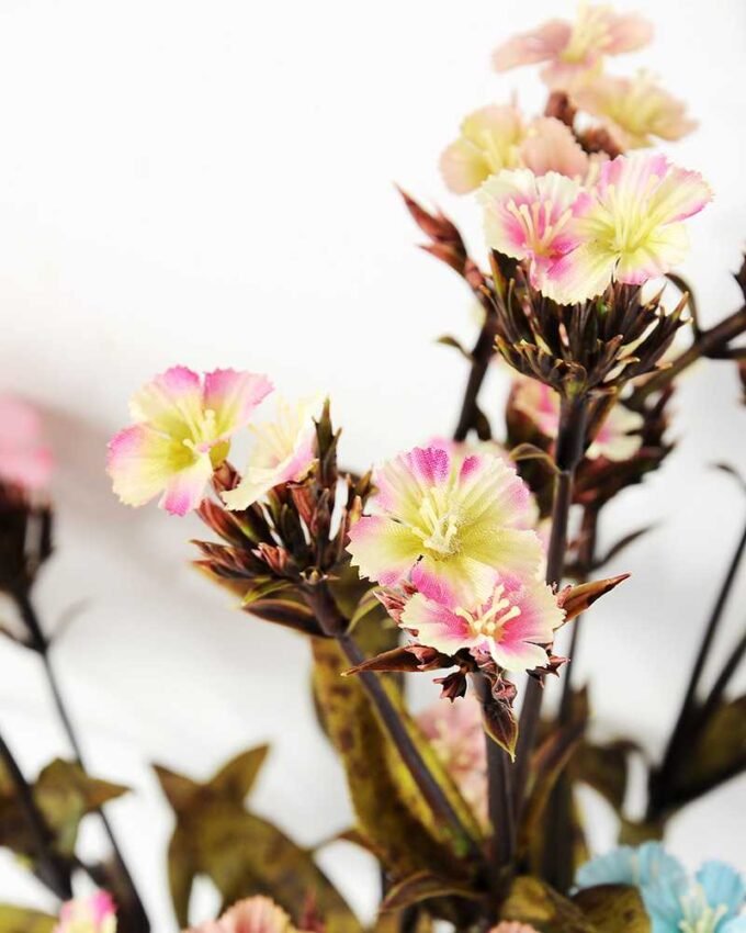 18*18*68CM?Dianthus chinensis GS-1680211B