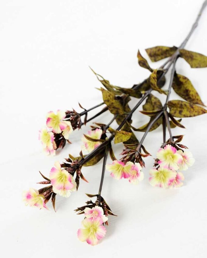 18*18*68CM?Dianthus chinensis GS-1680211B