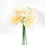 16*16*23CM Camellia Bouquet*6 GS-1680213