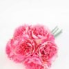 16*16*23CM Camellia Bouquet*6 GS-1680213