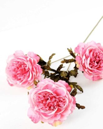 W19 H57cm Camellia*3 GS-1680216