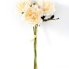 28CM Camellia*3 GS-1680218