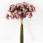 Ranunculus*8 GS-1680219