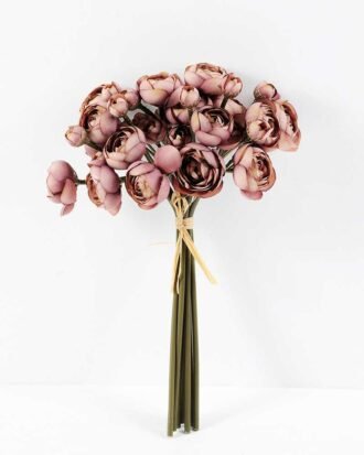Ranunculus*8 GS-1680219