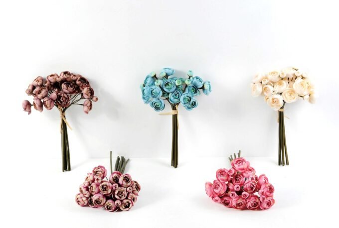 Ranunculus*8 GS-1680219 3 Ranunculus*8 GS-1680219