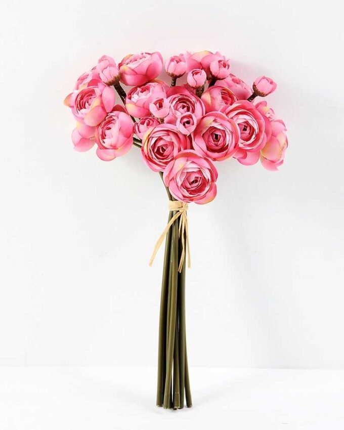 Ranunculus*8 GS-1680219 5 Ranunculus*8 GS-1680219