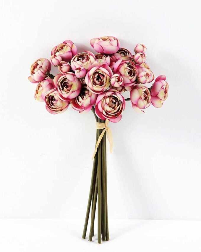 Ranunculus*8 GS-1680219 6 Ranunculus*8 GS-1680219