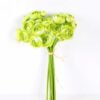 17*57CM Mini Ranunculus*7 GS-1680222 1 17*57CM Mini Ranunculus*7 GS-1680222