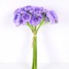 17*57CM Mini Ranunculus*7 GS-1680222 3 17*57CM Mini Ranunculus*7 GS-1680222