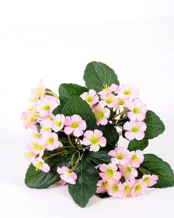 12*20CM Mini flower *5 GS-1680224-P1 2 12*20CM Mini flower *5 GS-1680224-P1