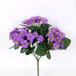 12*20CM Mini flower *5 GS-1680224-Z2