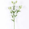 18*18*68CM?Dianthus chinensis GS-1680225-B1