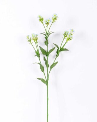 18*18*68CM?Dianthus chinensis GS-1680225-B1