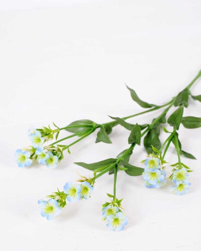 18*18*68CM?Dianthus chinensis GS-1680225-B1