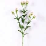 18*18*68CM?Dianthus chinensis GS-1680225-P1