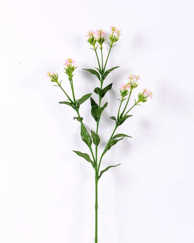 18*18*68CM?Dianthus chinensis GS-1680225-P1