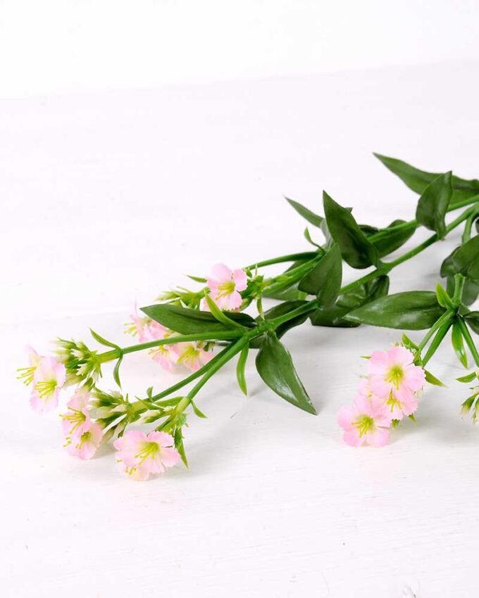 18*18*68CM?Dianthus chinensis GS-1680225-P1